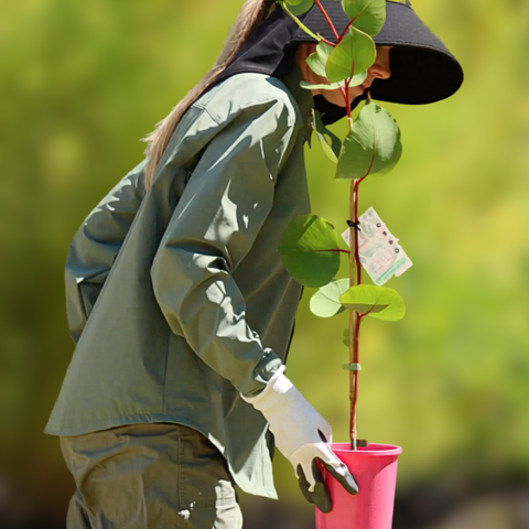 Garden Shirt